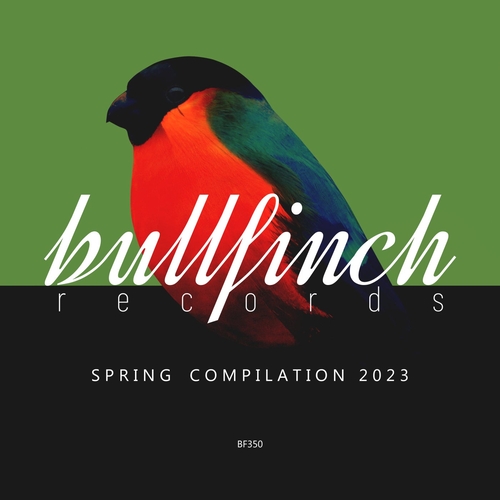 VA - Bullfinch Spring 2023 Compilation [BF350]